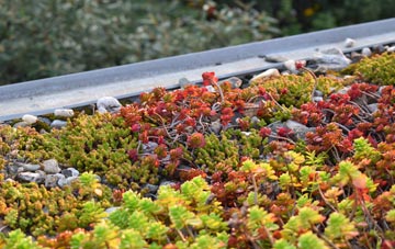 the cost of Hatherleigh green roof installation